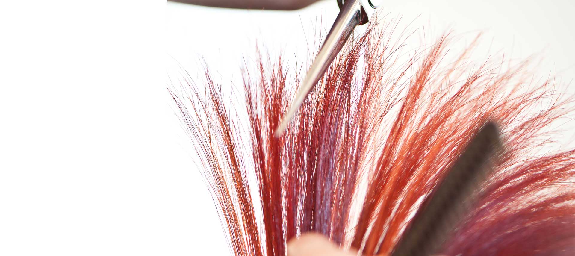 Haare schneiden Coiffeur