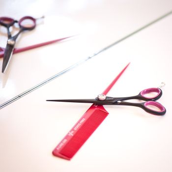Coiffeur Beratung